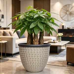 Pots de fleurs ronds en plastique simples et durables <span class=keywords><strong>pour</strong></span> <span class=keywords><strong>plantes</strong></span> <span class=keywords><strong>vertes</strong></span> en pot, anti-chute, <span class=keywords><strong>pour</strong></span> salon et <span class=keywords><strong>balcon</strong></span> - Product Image 1