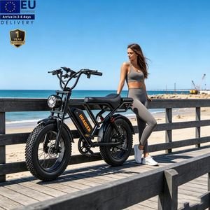 Faro Delantero LED Retro para Bicicleta Eléctrica, el Más Popular en la UE, HEADEER BK20, Baterías para Bicicleta Eléctrica, Bicicleta Eléctrica Fat Bike - Product Image 1
