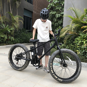 จักรยานไฟฟ้าสำหรับคนญี่ปุ่นขนาด24กม./ชม. 350W ระยะไกล - Product Image 5