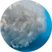 Fibre de polyester creuse siliconée blanche recyclée PSF 100% polyester 7D 64mm pour le filage