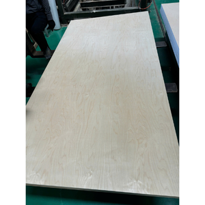 Vietnam-Made DD Grade 0.26 0.45 Mm Thick Birken Plywood Phenolic Coating Top Choice for Shuttering E0 Formaldehyde Manufactured - Product Image 5