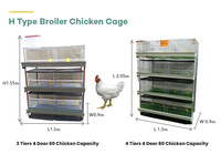 Cages à Poulets de Chair en Batterie pour Élevage Avicole, Système d'Élevage en H de 3/4 Niveaux pour 60/80 Oiseaux