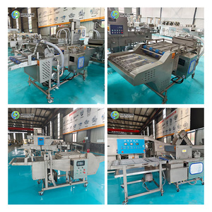Máquina Automática para Empanizar y Rebozar Alimentos, Máquina para Empanizar Pollo - Product Image 6