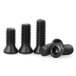 Tornillo Torx de Acero Grado 12.9 M2 M2.5 M3 M4 M5 M6 para Barra de Herramienta de Torneado - Product Image 1