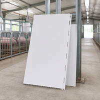Panneaux muraux de garage en PVC, emboîtables, imperméables, en vinyle blanc, pour murs et plafonds, 8ft, 10ft, 12ft, 16ft, 18ft, 20ft, 22ft