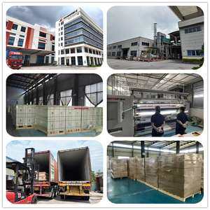 Pellicola DTF in PET Opaca/Lucida per Trasferimento a Caldo su Tessuti, Rotolo per Stampa a Caldo/Freddo ad Alta Temperatura, Fogli <span class=keywords><strong>A4</strong></span>/A3 100x60cm - Product Image 6