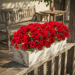 Plante artificielle de géranium Lovemoon GF-R-8, 8 pièces, fleurs <span class=keywords><strong>en</strong></span> soie réalistes résistantes aux UV, <span class=keywords><strong>en</strong></span> boîte, pour l'intérieur/l'extérieur, la maison ou le bureau - Product Image 4