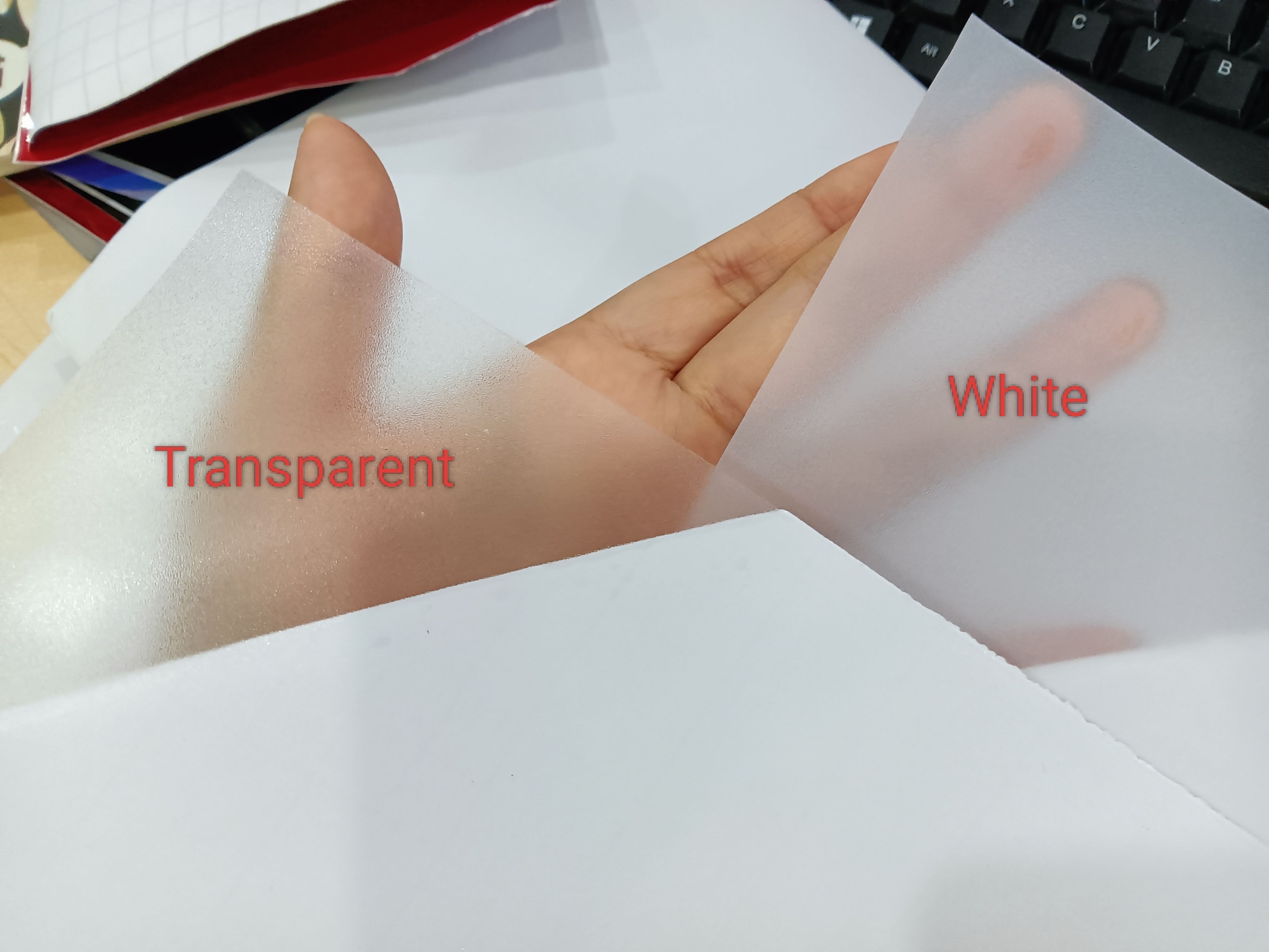 Transparent/White