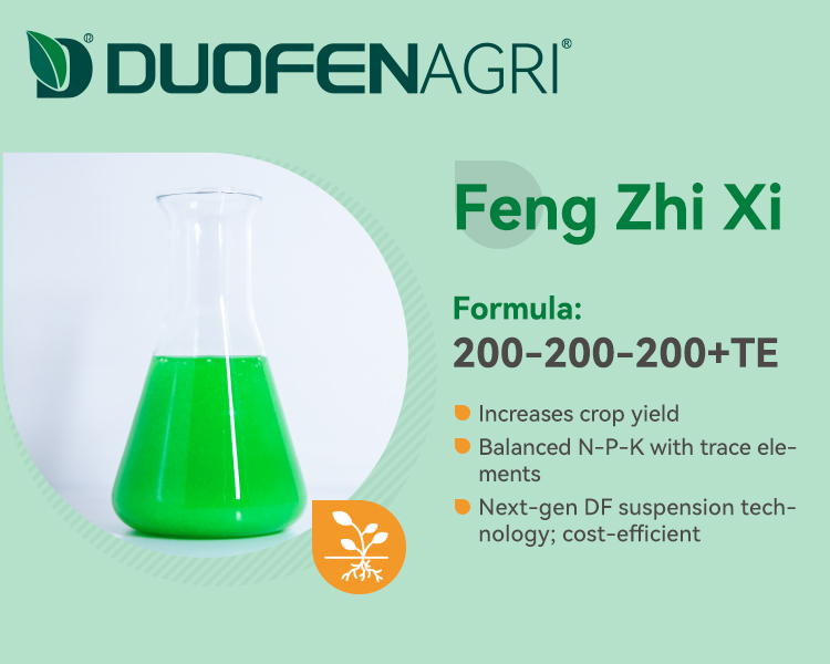 Wholesale NPK 200-200-200+TE Liquid Fertilizer Manufacturer image 4