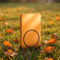 Banques d'alimentation portables miniatures en polymère avec écran LCD numérique et câble, vente en gros, OEM, charge rapide PD 20W, banque d'alimentation sans fil magnétique 5000mAh