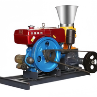 Nouvelle machine à granulés d'aliments pour animaux domestiques, moteur diesel, petite taille, pour poulet, canard, porc, vache, mini granulateur d'aliments pour animaux, haute productivité 300 kg/h