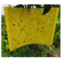 Piège à insectes jetable bleu/jaune à colle pour la surveillance des ravageurs en serre – Éliminateur de nuisibles écologique