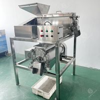 Tomatenpulp-extractor, pulp-maakmachine, automatische tomatensoep- en tomatenpureemachine in de aanbieding