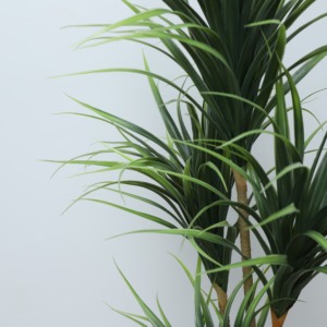 Offre Spéciale Simulation Dracaena Plante Vivid Ignifuge Dracaena Fragrans Arbre Liquidation Jardin Aménagement Paysager <span class=keywords><strong>plantes</strong></span> artificielles Bonsaï - Product Image 5