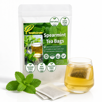 Sachets de thé aux feuilles de menthe verte OEM, 60 sachets de 2g, qualité supérieure, pur, frais, apaisant, détoxifiant, énergisant, rafraîchissant, bien-être