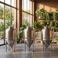 Équipement de brasserie sur mesure 50L 60L 70L 100L, cuve de fermentation en acier inoxydable pour équipement de brasserie
