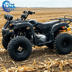 Cuatrimotos LNA a <span class=keywords><strong>Precio</strong></span> Accesible, Motor de Gasolina de 250cc, para Turismo y Negocios - Product Image 4