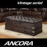 Table basse rétro couvert en cuir Antique, coffre, en vente L893