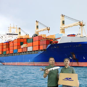 पेशेवर डायपर डिलीवरी महासागर फ्रेट फारवर्डर कंपनी शिपिंग एजेंट संयुक्त राज्य अमेरिका के लिए शिपिंग एजेंट - Product Image 4