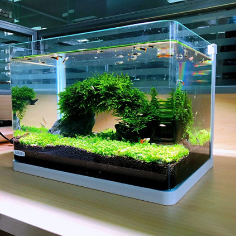 Acquario Con Filtro E Led | Confronta Prezzi - Foto 11