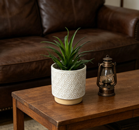 Mini Plantes Succulentes Artificielles en Pot - Écologiques et Résistantes aux UV - Décoration de Thanksgiving et de Noël pour Salle de Bain, Chambre et Bureau