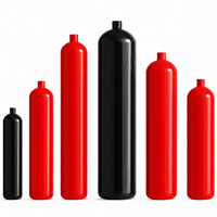 Extincteur à dioxyde de carbone en acier de haute qualité 2/3/5/7/9 kg, extincteur à CO2, bouteille de gaz