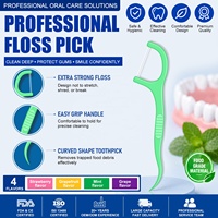 Tusuk Gigi Plastik Hilo Berwarna Rasa Mint Khusus untuk Perawatan Gigi, Dikemas dalam Kotak, Grosir