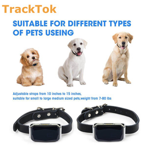 Mini <span class=keywords><strong>collier</strong></span> de localisation intelligent <span class=keywords><strong>pour</strong></span> animaux de compagnie <span class=keywords><strong>GPS</strong></span> étanche OEM <span class=keywords><strong>pour</strong></span> chats/chiens, positionnement universel étanche - Product Image 6