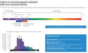 レンズ工場<span class=keywords><strong>Cr39</strong></span> 1.56ブルーカットブロッキングレンズベストプライスHmcアズール光学レンズ卸売 - Product Image 5
