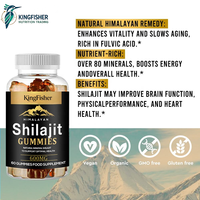 Gummies de Shilajit KingFisher OEM ODM sans sucre, véganes, supplément à base de plantes pour le soutien quotidien de l'énergie et de la vitalité, marque privée, vente en gros