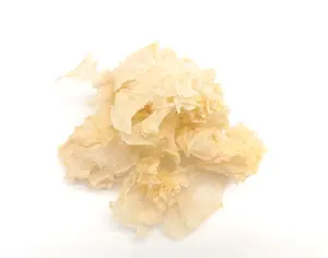 Supplydry New Crop Dehydrated Vegetable 10X6mm Dry White Snow Fungus Tremella Slice