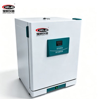 OEM ODM 210L Natural Convection Cabinet Ielectrothermal Thermostatic Incubator