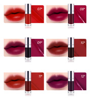 Teinte à lèvres mate 12 couleurs, gloss 24H, non-collant, sans transfert de couleur, étiquette privée, imperméable, longue tenue