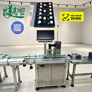 Machine d'inspection visuelle en ligne avec caméra industrielle haute résolution et comparaison des données en temps réel pour le code QR Carton Master - Product Image 3