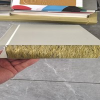 Panneau en mousse EPS pour maison conteneur, fournisseur de panneaux sandwich