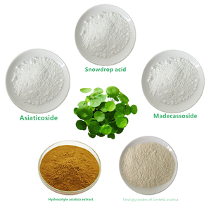 Extrait naturel d'<span class=keywords><strong>hydrocotyle</strong></span> (Centella Asiatica) CAS 84696-21-9, incluant Asiaticoside, Acide Snowdrop, Madecassoside, Glycosides totaux - Product Image 1