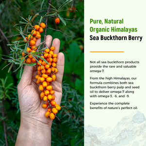 Gélules d'huile d'argousier biologique Laicuherb, complément alimentaire végétalien pour adultes, riche en oméga 7 et 9 pour un soutien équilibré des acides gras - Product Image 3