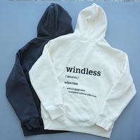 Sudadera con Capucha de Felpa Bordada de 500 g/m², Sudadera de Alta Calidad, Diseño Personalizado, Ropa de Invierno, Sudadera con Capucha para Hombre