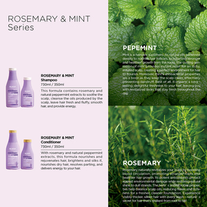 BEAVER Rosmarin-Minze <span class=keywords><strong>Shampoo</strong></span> zur Haarstärkung Erfrischendes Haarwuchs-Conditioner Anti-Schuppen Natürliches Haarpflege-Set - Product Image 3