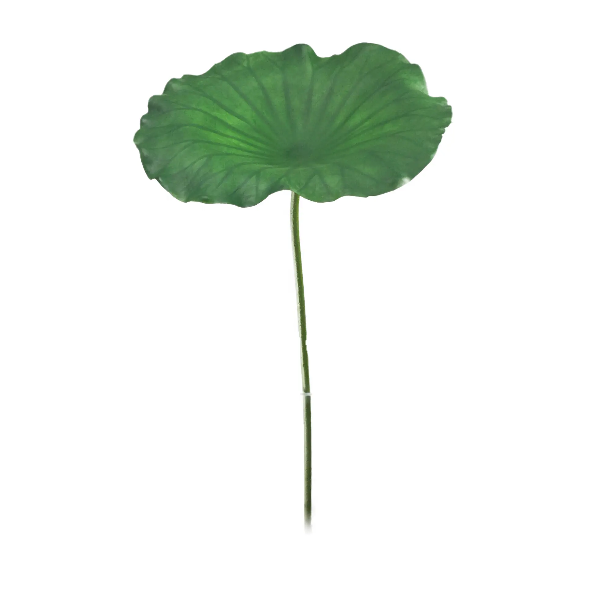 Eco-fashion Pvc Water Lily Flower Artificial Lotus Leaves Floating Water Lily Leaf