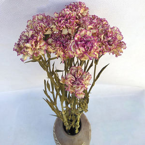 Otras flores y plantas decorativas Venta al por mayor Decoración de la boda Flores secas Prensadas Clavel seco natural real - Product Image 2