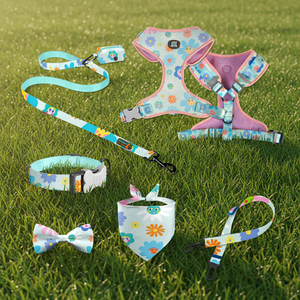 Ensemble de harnais pour chien MIDEPET de luxe, en nylon/polyester de haute qualité, personnalisable, collier réglable, laisse, bandana rembourré - Product Image 1