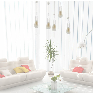 Hai prong 12 ft treo ánh sáng Dây Đèn Lồng ánh sáng mặt dây chuyền với E26/E27 Bóng đèn ổ cắm chúng tôi cắm On/Off chuyển đổi cáp - Product Image 2