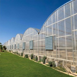 Invernadero Grande de Policarbonato con Estructura Galvanizada, Control Automático de Temperatura, Riego por Goteo y Red Antiinsectos - Product Image 6
