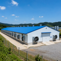 Bâtiment avicole préfabriqué en acier à grande portée, économique et automatique, pour l'élevage de poulets de chair et de poules pondeuses