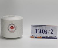 Fil à coudre en polyester 100% filé, haute ténacité, 20/2 40/2 30/3, couleur personnalisée disponible