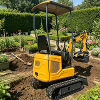 Mini-excavatrice à chenilles avec moteur Kubota, certifiée Euro 5CE EPA, avec pince, pour aménagement paysager de jardin - Livraison gratuite