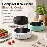 Mini-réchaud électrique en céramique portable, bouilloire à thé, chauffe-eau avec commande par bouton, plaque chauffante pour usage domestique