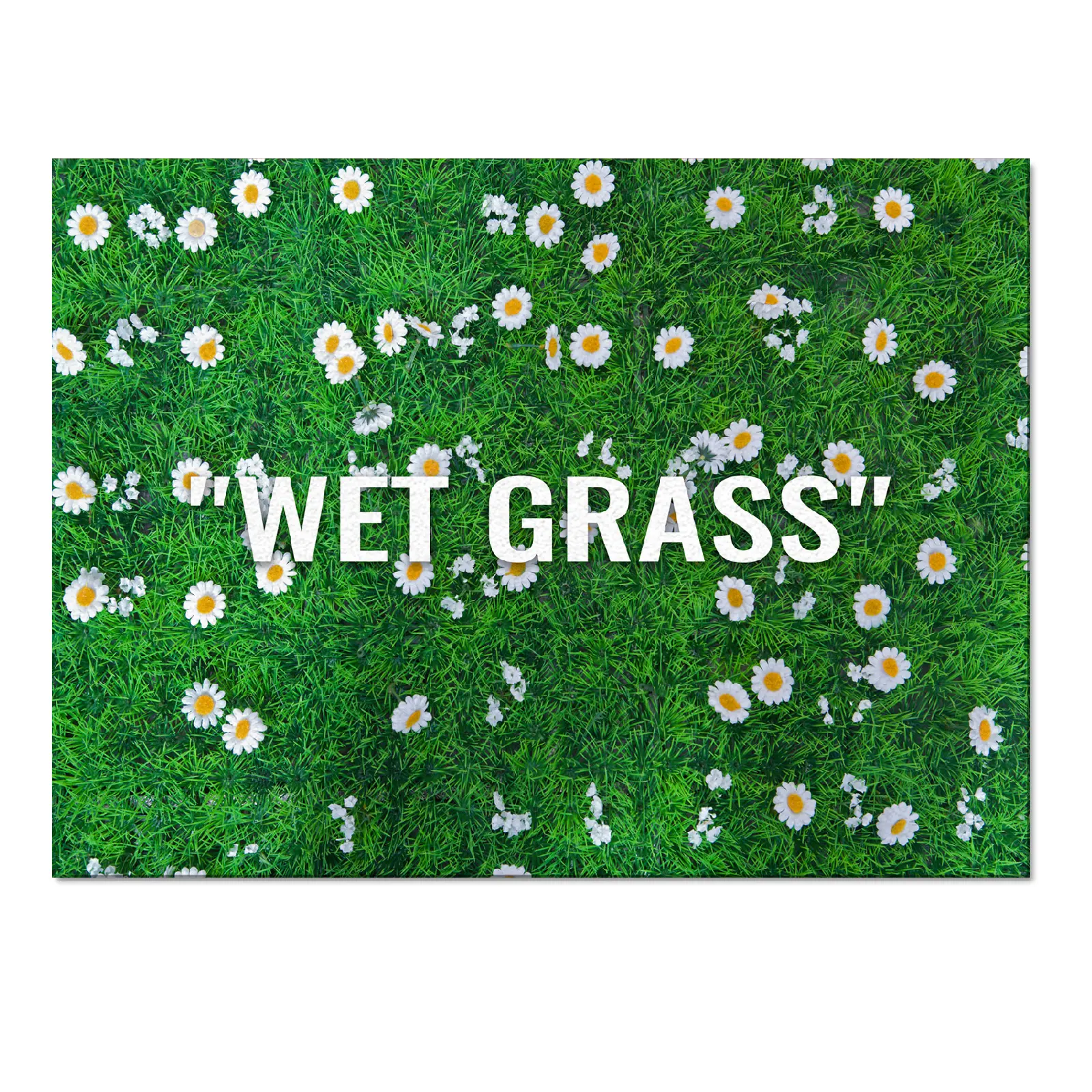 Maschinen wasch bar Wild Flower Daisy Green Grass Home Großer Teppich Teppich Virgil Abloh Wet Grass Zitat Wohnzimmer Teppiche