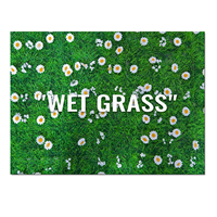 Tapis de salon grand format lavable en machine, motif marguerite sauvage et herbe verte, citation Virgil Abloh Herbe Humide